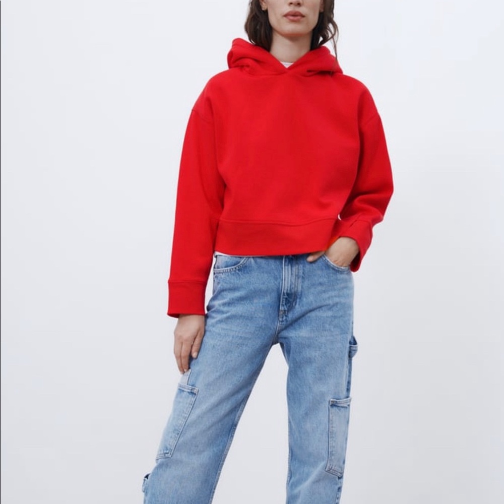 NWOT Zara Hoodie